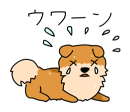 Pomeranian Gon03 sticker #2808848