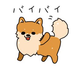 Pomeranian Gon03 sticker #2808850