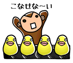 40 Monkeys sticker #2810008