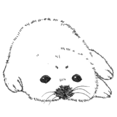 Baby Seal&Baby Penguin