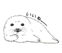 Baby Seal&Baby Penguin sticker #2810457