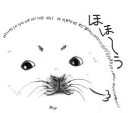 Baby Seal&Baby Penguin sticker #2810459