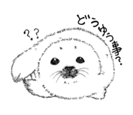 Baby Seal&Baby Penguin sticker #2810462