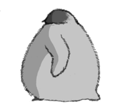 Baby Seal&Baby Penguin sticker #2810465