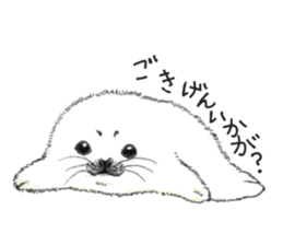 Baby Seal&Baby Penguin sticker #2810480