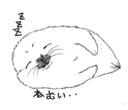 Baby Seal&Baby Penguin sticker #2810482