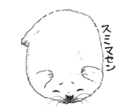 Baby Seal&Baby Penguin sticker #2810487