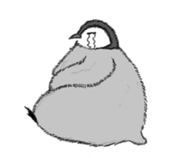 Baby Seal&Baby Penguin sticker #2810488