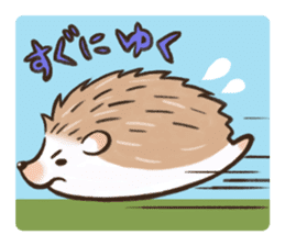 Shy hedgehog sticker #2811473