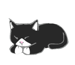 Good night cat sticker #2812650