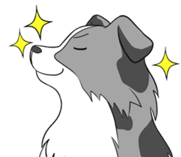 bordercollie sticker #2813861