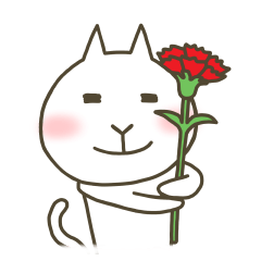 A Cat's Homestay Experience in Japan