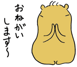 Capybara  life sticker #2820013