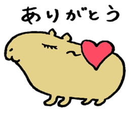 Capybara  life sticker #2820021