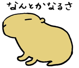 Capybara  life sticker #2820023