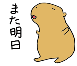 Capybara  life sticker #2820024