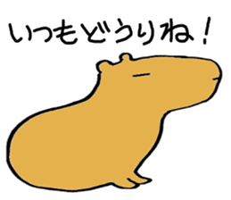 Capybara  life sticker #2820028