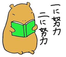 Capybara  life sticker #2820029