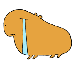 Capybara  life sticker #2820036