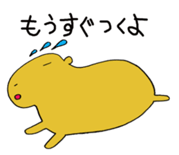 Capybara  life sticker #2820038