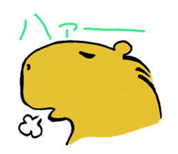 Capybara  life sticker #2820044