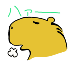 Capybara  life sticker #2820044