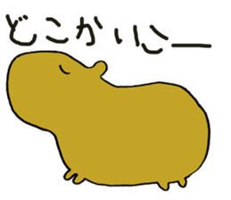 Capybara  life sticker #2820047