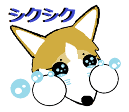 BOWWOW CORGIS! sticker #2822061