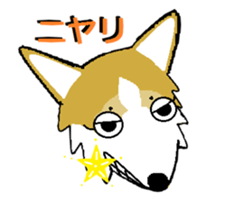 BOWWOW CORGIS! sticker #2822064