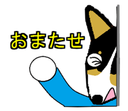 BOWWOW CORGIS! sticker #2822078