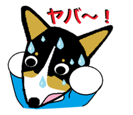 BOWWOW CORGIS! sticker #2822084