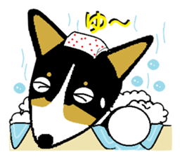 BOWWOW CORGIS! sticker #2822085