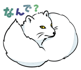 Three white animals! sticker #2822772