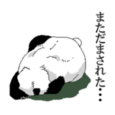 Panda pro-loss of strength sticker #2824072