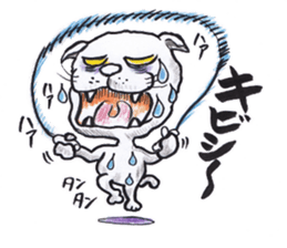 stray cat daily conversation sticker #2828835