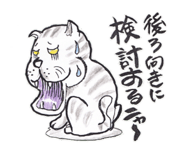 stray cat daily conversation sticker #2828858