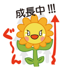 SUNhula sticker #2829851