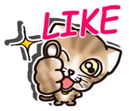 Tabby-cat English Ver sticker #2830907