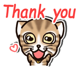 Tabby-cat English Ver sticker #2830909