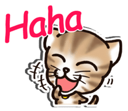 Tabby-cat English Ver sticker #2830919