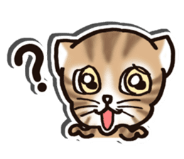 Tabby-cat English Ver sticker #2830925