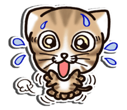 Tabby-cat English Ver sticker #2830928