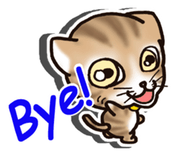 Tabby-cat English Ver sticker #2830936