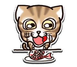 Tabby-cat English Ver sticker #2830938