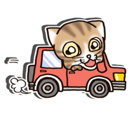 Tabby-cat English Ver sticker #2830942