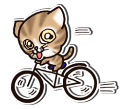 Tabby-cat English Ver sticker #2830946