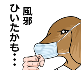 dachshundman sticker #2832184