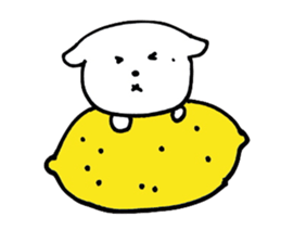 Pretty small dog sticker #2833464