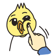 Mr. Torigai, the poor chick sticker #2836796