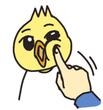 Mr. Torigai, the poor chick sticker #2836796